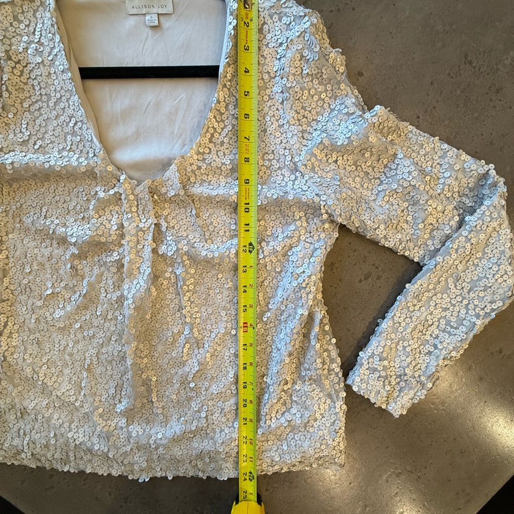 Allison Joy gray sequin top. Size L. - Picture 2 of 10